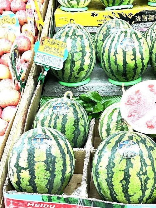 分宜麒麟瓜今日价格,价格行情一览