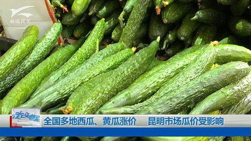 昆明今日小瓜价,新鲜上市，价格亲民