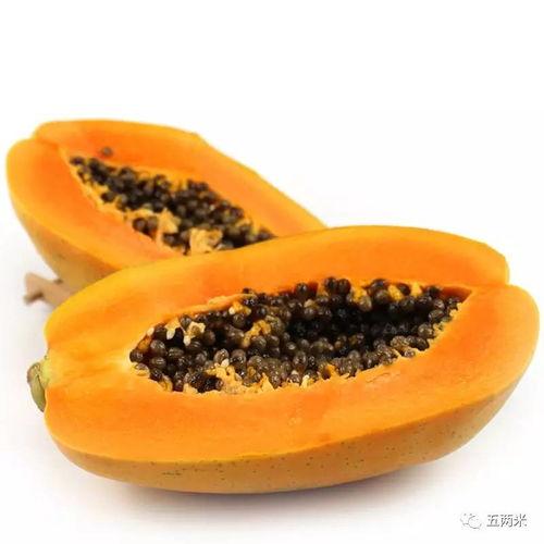 海南今日瓜价最新消息,今日瓜价行情一览