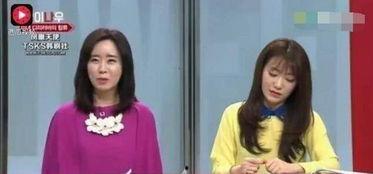韩国评价明星网红的视频,韩国视角下的明星网红魅力解析