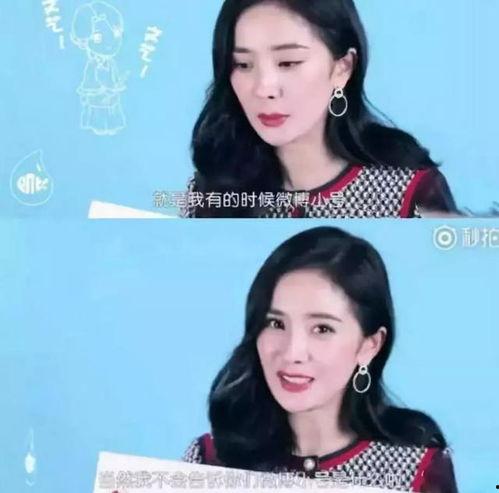 明星网红大号小号图片区别,大号小号图片差异背后的秘密