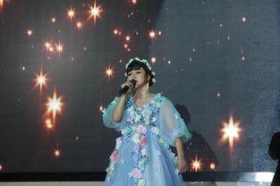 明星网红圆梦演唱会,网红明星圆梦演唱会盛大启幕