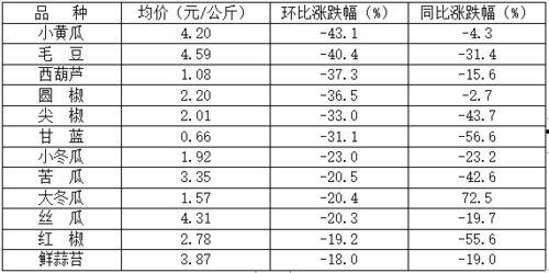 山东寿光小瓜今日价格表