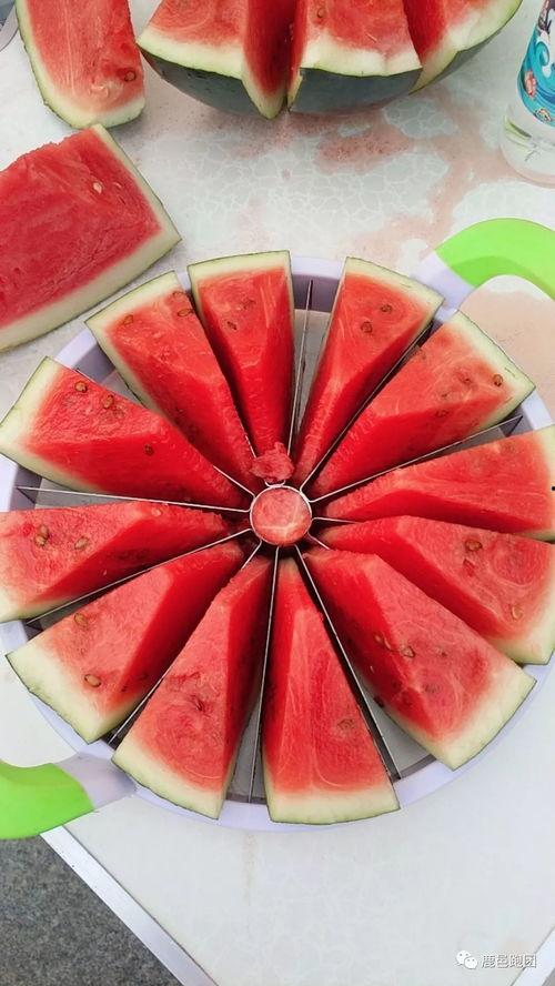 今日吃瓜大赛,瓜界风云再起，谁将笑傲江湖？