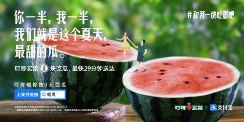 今日分享吃瓜文案,揭秘娱乐圈新鲜吃瓜瞬间