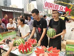北京朝阳群众今日吃瓜,揭秘京城街头新鲜事