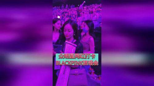 明星网红看演唱会,明星网红齐聚一堂，狂欢之夜精彩回顾