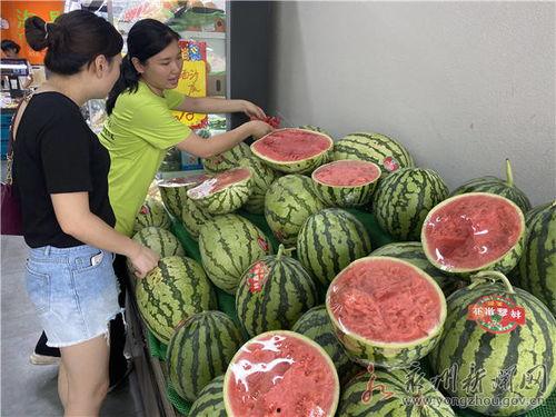 麒麟瓜今日价格宁夏,新鲜上市，品质保证！”