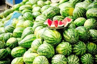 每日大瓜今日瓜网红校园,每日大瓜今日瓜揭秘