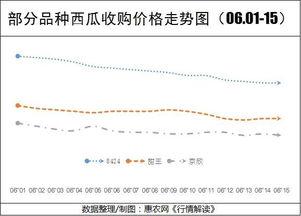 兰州今日瓜价行情走势
