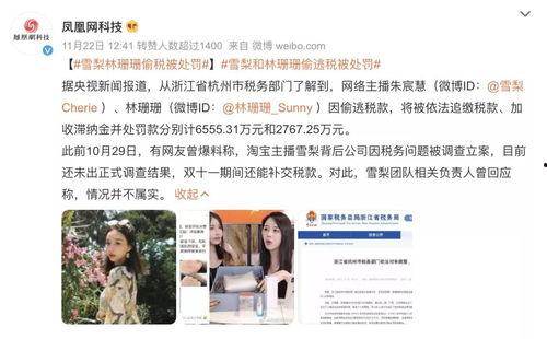 有关明星网红偷税的看法,审视与反思的焦点