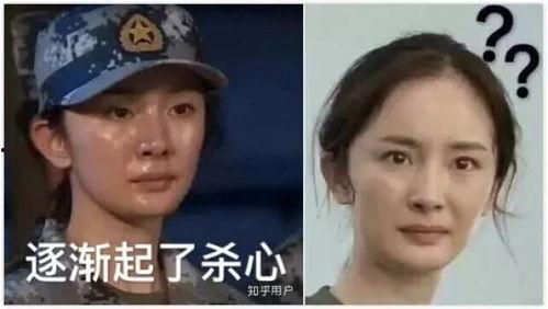 明星网红搞笑表情包图片,明星网红搞笑表情包大盘点