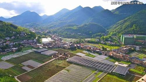 明星网中牟县韩寺镇硒砂瓜今日最新价格,今日最新价格揭晓，品质之选备受瞩目”