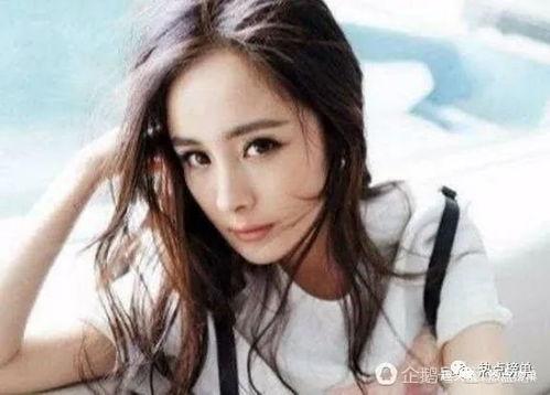 百万明星网红排名榜,揭秘网络红人新势力