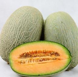 黄蛋子哈密瓜今日价格