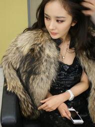 明星网红做秀视频大全集,精彩瞬间一网打尽