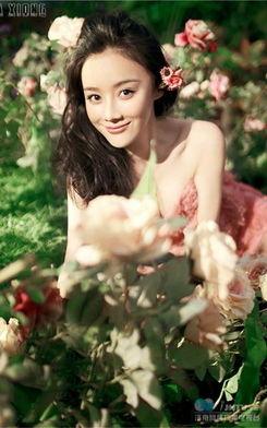 明星网红姓名大全图片女,揭秘当红女明星网红姓名大全