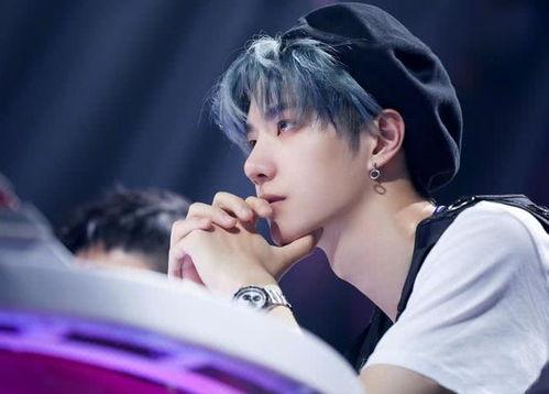 健萌加盟的明星网红,明星网红助力品牌新篇章