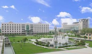 西安外事今日之瓜,校园风云再起，瓜田李下引关注